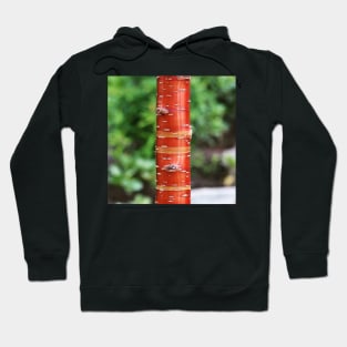 Tree trunk Hoodie